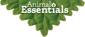 animal-essentials-leaf